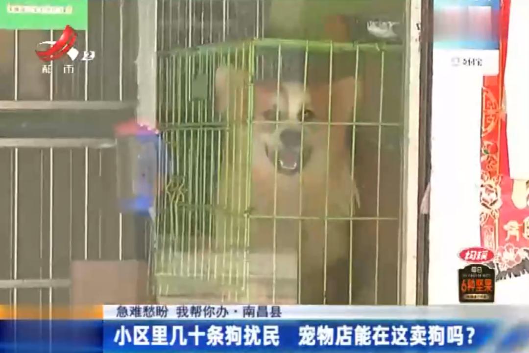 DƬ